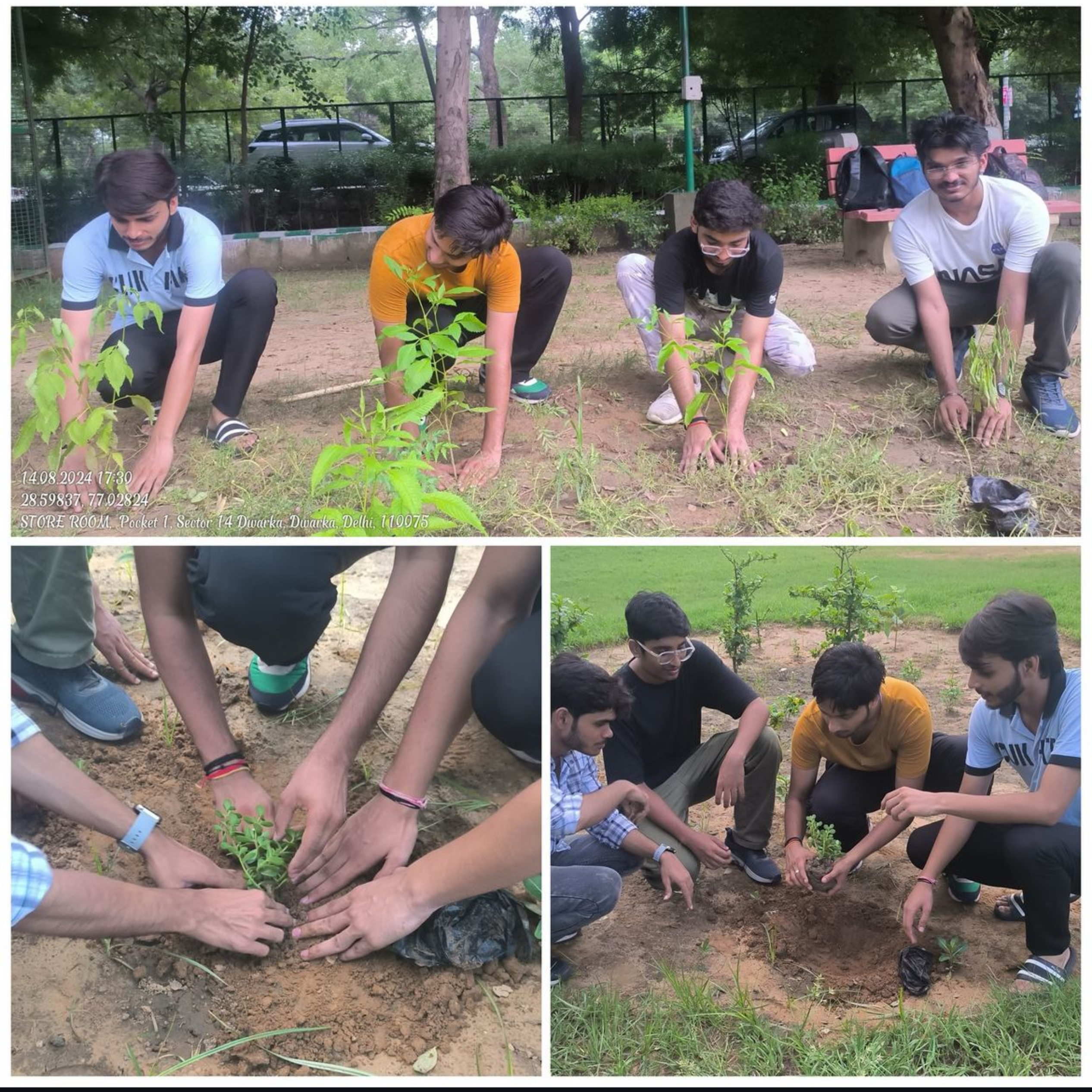 Plantation Drive